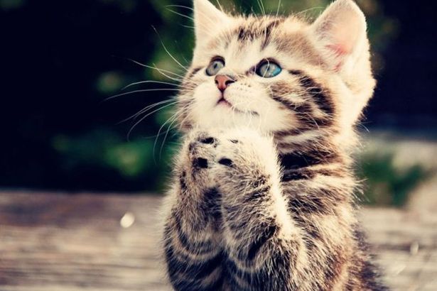 10 u043fu0440u043eu0441u0442u044bu0445 u0441u043fu043eu0441u043eu0431u043eu0432 u0441u0434u0435u043bu0430u0442u044c u0414u043eu0431u0440u043e u0432 u041fu0435u0442u0435u0440u0431u0443u0440u0433u0435