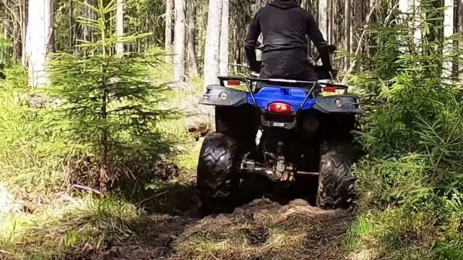 Сумасшедший драйв и скорость петербуржцы могут испытать, пересев на квадроцикл. Мощный рев двигателя, брызги грязи из-под колес, преодоление крутых подъемов и спусков — квадроциклы дарят ощущения, недоступные в повседневной городской жизни. PITER.NOW собрал актуальные места, где в 2025 году можно арендовать надежные квадроциклы и прокатиться по захватывающим лесным трассам.