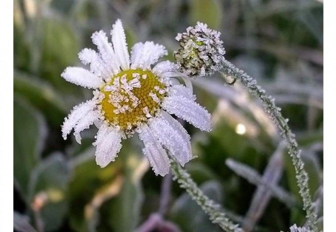 u041fu043eu0433u043eu0434u0430 u043fu043eu0440u0442u0438u0442u0441u044f