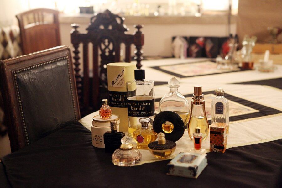 Тропические джунгли, экзотические рыбки и животные, теплая кошачья терапия и необычные музеи – места, где можно согреться, отдохнуть и весело провести время: