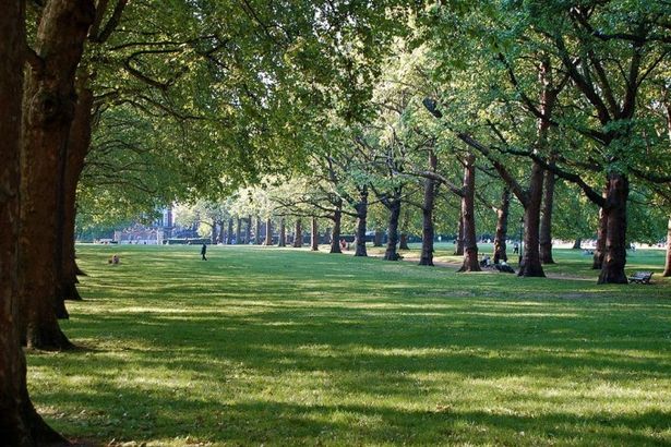 u0412 u041fu0435u0442u0435u0440u0431u0443u0440u0433u0435 u043fu043eu044fu0432u0438u0442u0441u044f u043du043eu0432u044bu0439 u043fu0430u0440u043a