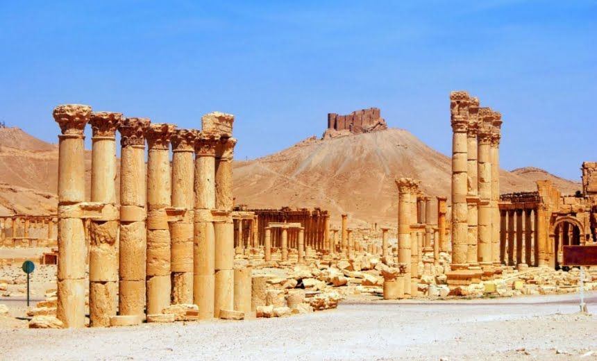 u041au043eu043fu0438u044e u043au043eu043bu043eu043du043du044b u0417u0435u043du043eu0431u0438u0438 u0438u0437 u041fu0430u043bu044cu043cu0438u0440u044b u0443u0441u0442u0430u043du043eu0432u0438u043bu0438 u043fu043eu0434 u041fu0435u0442u0435u0440u0431u0443u0440u0433u043eu043c