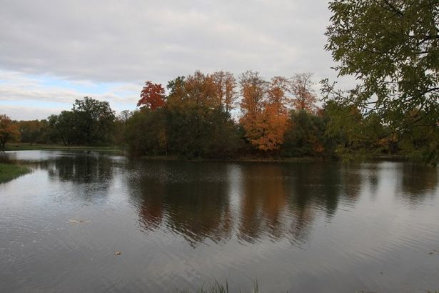 u041fu0435u0442u0435u0440u0433u043eu0444u0441u043au0438u0439 u0411u043eu043bu044cu0448u043eu0439 u041au0440u0443u0433u043bu044bu0439 u043fu0440u0443u0434 u0433u043eu0442u043eu0432 u043a u043eu0442u043au0440u044bu0442u0438u044e u0444u043eu043du0442u0430u043du043eu0432