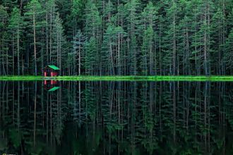 u041fu0440u0438u0440u043eu0434u043du044bu0435 u0434u043eu0441u0442u043eu043fu0440u0438u043cu0435u0447u0430u0442u0435u043bu044cu043du043eu0441u0442u0438 u041bu0435u043du0438u043du0433u0440u0430u0434u0441u043au043eu0439 u043eu0431u043bu0430u0441u0442u0438