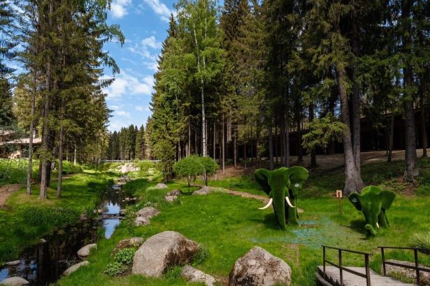 От горнолыжных трасс Туутари до трофейной рыбалки на Ладоге — 10 проверенных баз отдыха Ленинградской области, где петербуржцы перезагружаются на выходных без долгих перелётов.