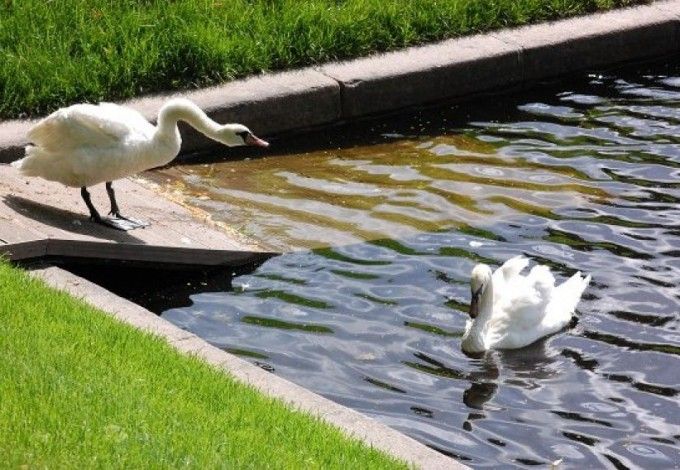 u0420u0443u0441u043bu0430u043d u0438 u041bu044eu0434u043cu0438u043bu0430 u0432u0435u0440u043du0443u043bu0438u0441u044c u0432 u041bu0435u0442u043du0438u0439 u0441u0430u0434