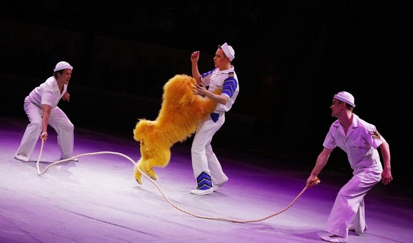 Программа «ЭпиЦЕНТР мира»