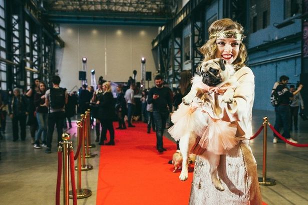 «День Святого Мопсантина»