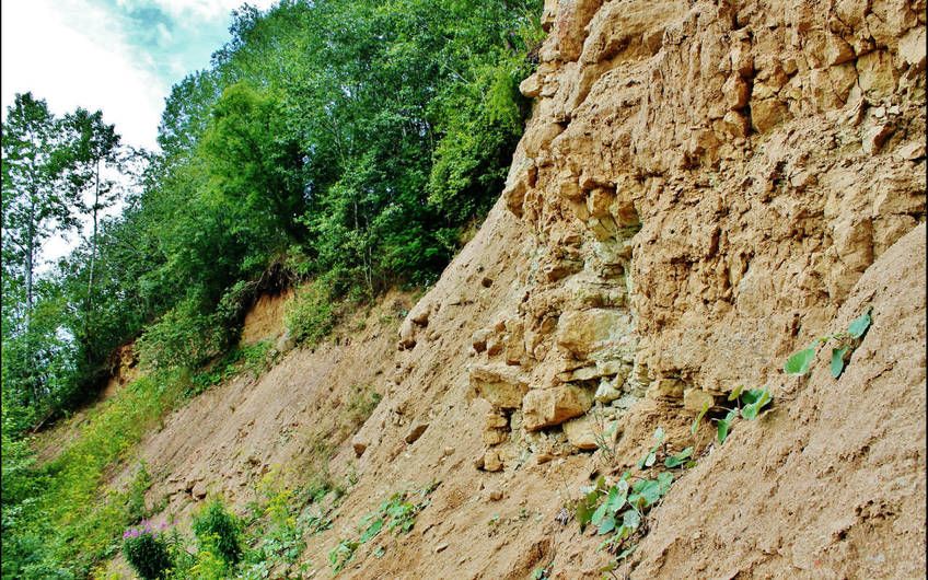 pitkelevskiy karer ili fc577