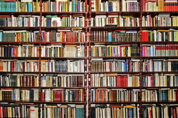 u0411u0438u0431u043bu0438u043eu0442u0435u043au0430 u0438u043cu0435u043du0438 u0427u0435u0445u043eu0432u0430 u0436u0434u0435u0442 u0432u043eu043bu043eu043du0442u0451u0440u043eu0432