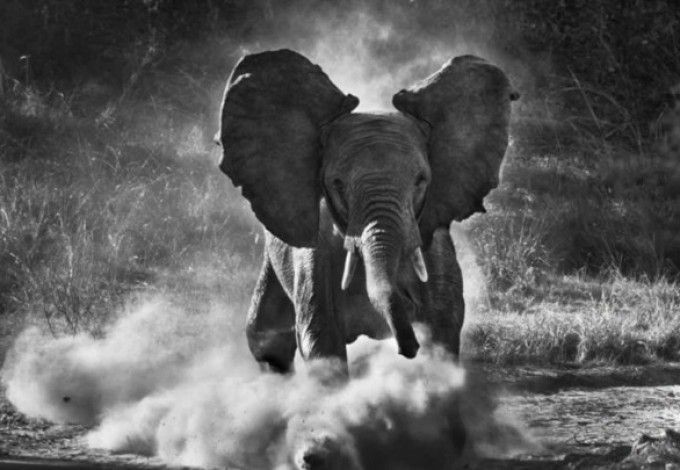 u0412u044bu0441u0442u0430u0432u043au0430 u00abu0413u0435u043du0435u0437u0438u0441u00bb u0421u0435u0431u0430u0441u0442u0438u043e u0421u0430u043bu044cu0433u0430u0434u043e