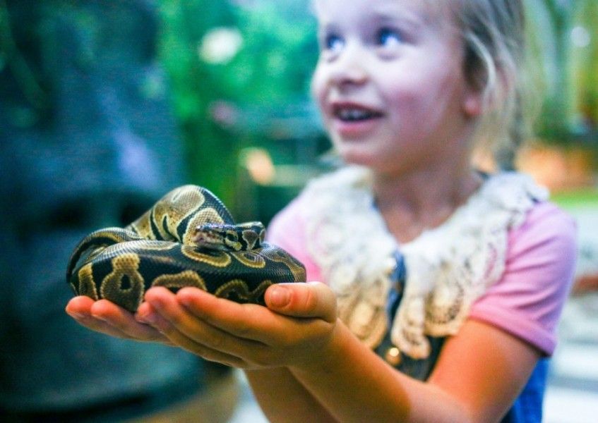 img 4905 1100x733 269bf