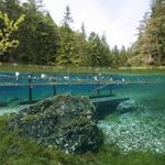 radonovye-ozjora-v-leningradskoj-oblasti