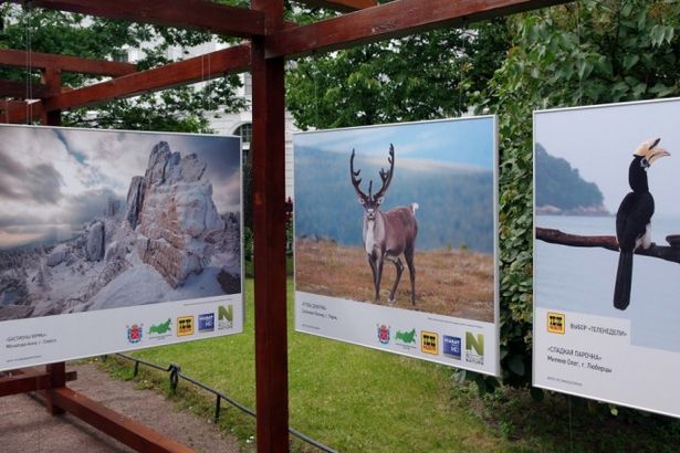 u0424u043eu0442u043eu0432u044bu0441u0442u0430u0432u043au0430 u043e u0434u0438u043au043eu0439 u043fu0440u0438u0440u043eu0434u0435 u043eu0442u043au0440u044bu043bu0430u0441u044c u0432 u0415u043au0430u0442u0435u0440u0438u043du0438u043du0441u043au043eu043c u0441u043au0432u0435u0440u0435