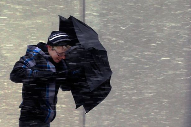 u0412 u041fu0435u0442u0435u0440u0431u0443u0440u0433u0435 u043eu0436u0438u0434u0430u0435u0442u0441u044f u0443u0441u0438u043bu0435u043du0438u0435 u0432u0435u0442u0440u0430