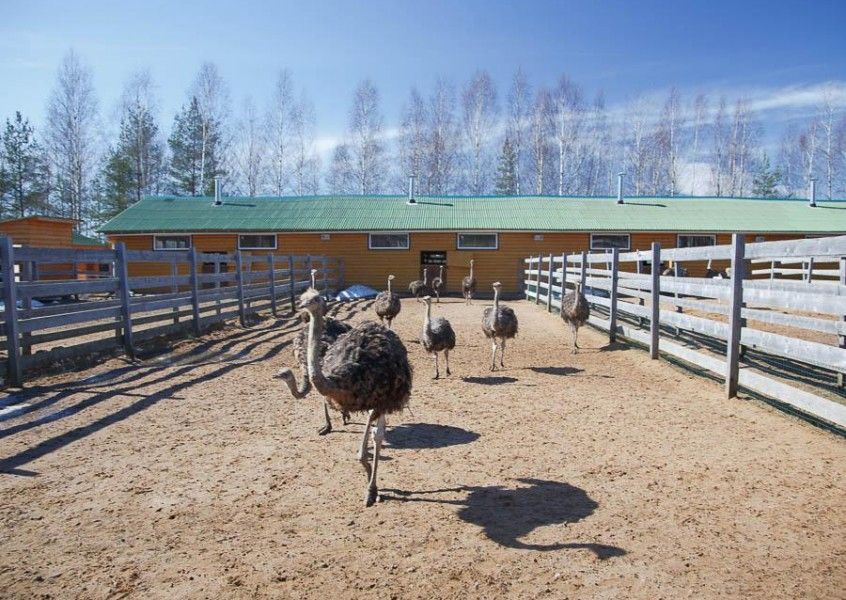 0 b7c0a 67ff6ae orig 0f095