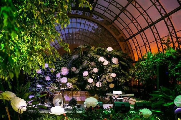 kafe v oranzheree 0 959cb