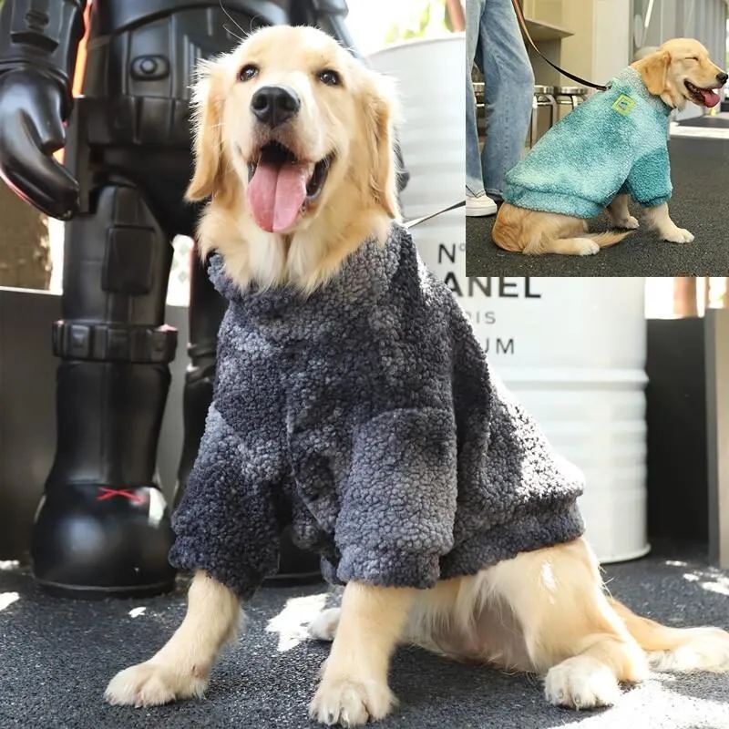Собака в вязаном свитере из каталога Petshop.ru