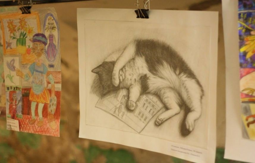 den koshek v ermitazhe 2eb70