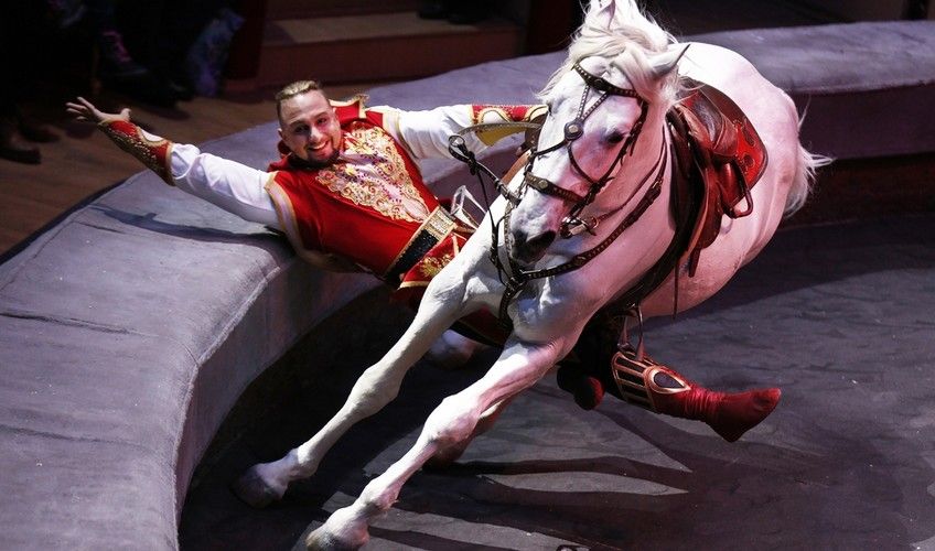 Программа «ЭпиЦЕНТР мира»