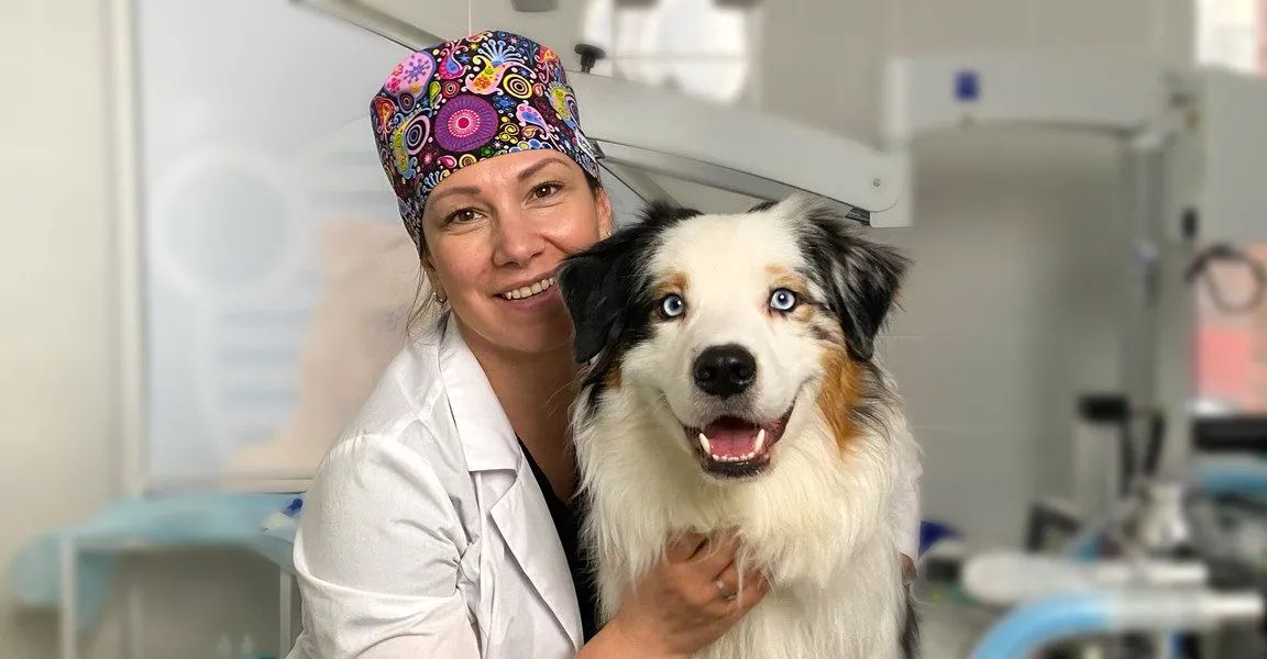 Ищете ветклинику, которая реально работает ночью? Проверили 20+ заявлений о «24/7» и нашли 15 мест, где хирург на месте, а не «по вызову». С ценами, графиком разводки мостов и честными ограничениями каждой клиники.