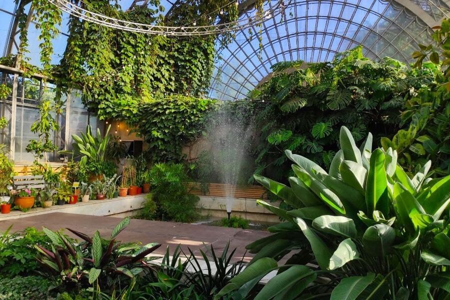 Оранжерея Таврического сада с тропическими растениями и живыми бабочками