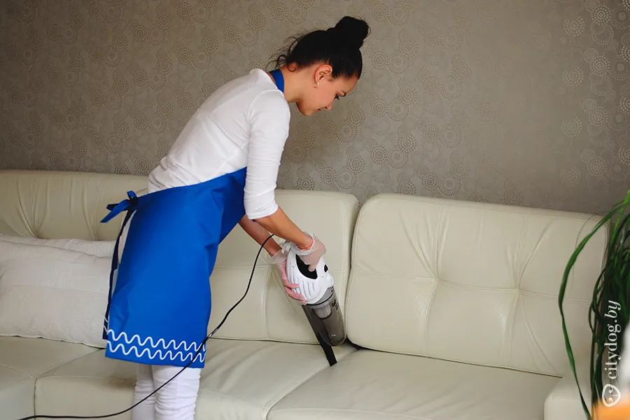 Обеспыливание мягкой мебели пылесосом — иллюстрация уборки