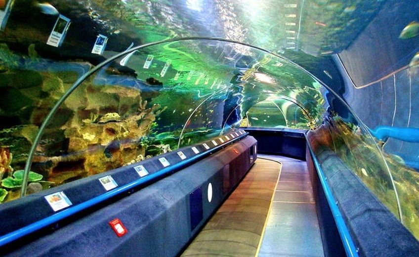 Огромный аквариум с разнообразными морскими обитателями в Океанариуме Планета Нептун