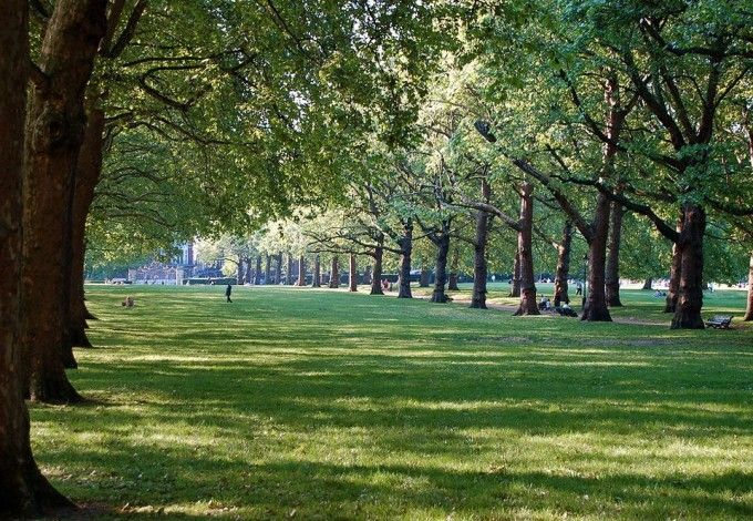 u0412 u041fu0435u0442u0435u0440u0431u0443u0440u0433u0435 u043fu043eu044fu0432u0438u0442u0441u044f u043du043eu0432u044bu0439 u043fu0430u0440u043a