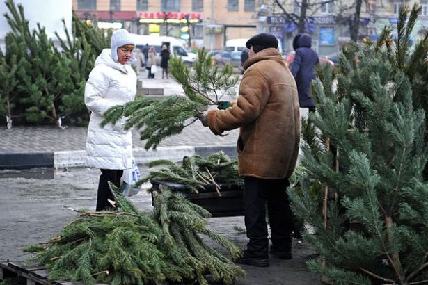 u041fu0440u043eu0434u0430u0436u0430 u0435u043bu043eu043a u043eu0442u043au0440u043eu0435u0442u0441u044f u0432 u041fu0435u0442u0435u0440u0431u0443u0440u0433u0435 20 u0434u0435u043au0430u0431u0440u044f