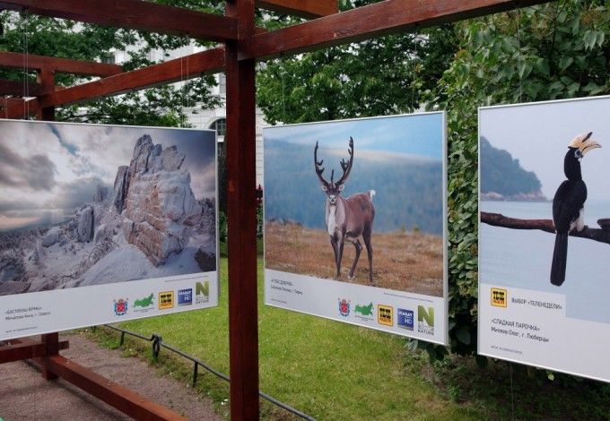 u0424u043eu0442u043eu0432u044bu0441u0442u0430u0432u043au0430 u043e u0434u0438u043au043eu0439 u043fu0440u0438u0440u043eu0434u0435 u043eu0442u043au0440u044bu043bu0430u0441u044c u0432 u0415u043au0430u0442u0435u0440u0438u043du0438u043du0441u043au043eu043c u0441u043au0432u0435u0440u0435