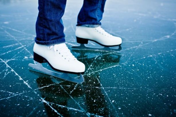 170 u0430u0434u0440u0435u0441u043eu0432 u043eu0442u043au0440u044bu0442u044bu0445 u043au0430u0442u043au043eu0432 u0438 u0445u043eu043au043au0435u0439u043du044bu0445 u043au043eu0440u043eu0431u043eu043a u041fu0435u0442u0435u0440u0431u0443u0440u0433u0430