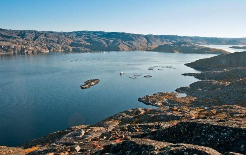 Печенгская губа