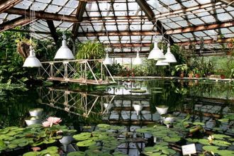 Тропические джунгли, экзотические рыбки и животные, теплая кошачья терапия и необычные музеи – места, где можно согреться, отдохнуть и весело провести время: