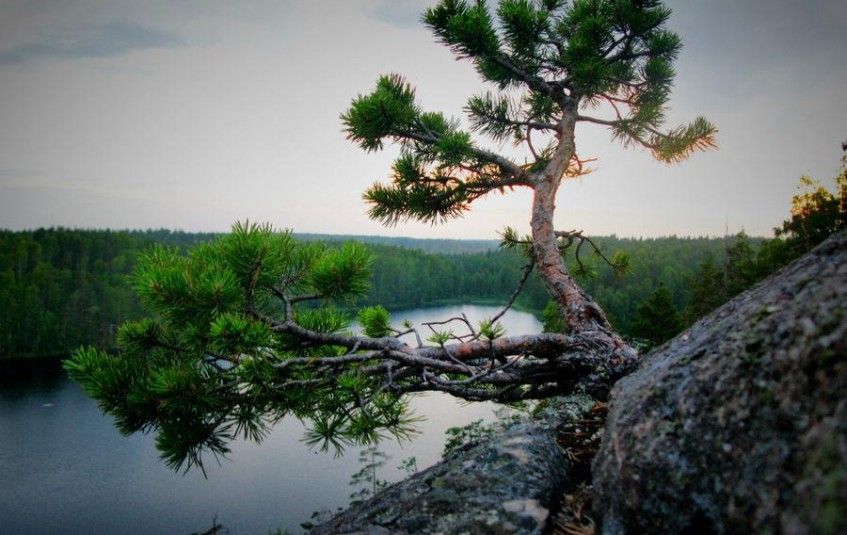 Скалы Ястребиного озера