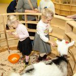 В самом сердце Санкт-Петербурга, на третьем этаже торгового центра LeoMall, спрятан настоящий лесной уголок — контактный зоопарк "Лесное посольство". Здесь нашли свой дом очаровательные еноты, рыжие лисы, милые кролики и множество других животных, с которыми можно не только познакомиться, но и подружиться. В этом уютном зоопарке каждый посетитель может не только полюбоваться на лесных обитателей, но и покормить их, погладить, взять на руки и сфотографироваться на память.