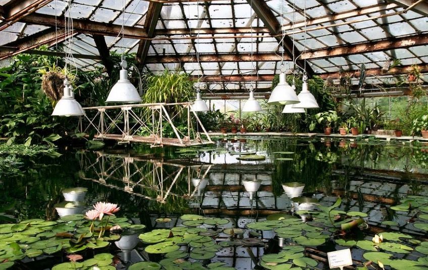 Тропические джунгли, экзотические рыбки и животные, теплая кошачья терапия и необычные музеи – места, где можно согреться, отдохнуть и весело провести время: