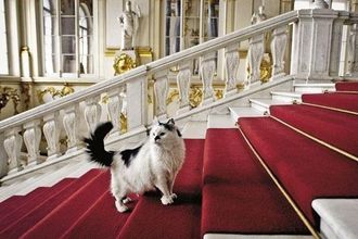 В этом году «День Эрмитажного кота» будет праздноваться целых два дня! 12 и 13 мая можно будет познакомиться с хвостатыми-полосатыми хранителями Эрмитажа, которые еще с царских времен охраняют драгоценные экспонаты музея, заглянуть в Книгу Учета котов и спуститься в подвалы главного музея города.
