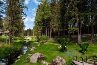 От горнолыжных трасс Туутари до трофейной рыбалки на Ладоге — 10 проверенных баз отдыха Ленинградской области, где петербуржцы перезагружаются на выходных без долгих перелётов.