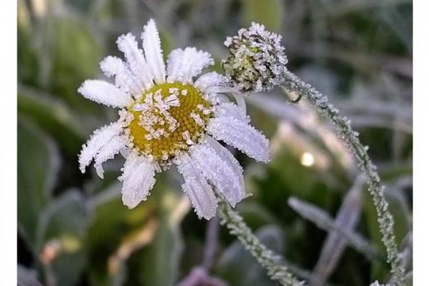 u041fu043eu0433u043eu0434u0430 u043fu043eu0440u0442u0438u0442u0441u044f