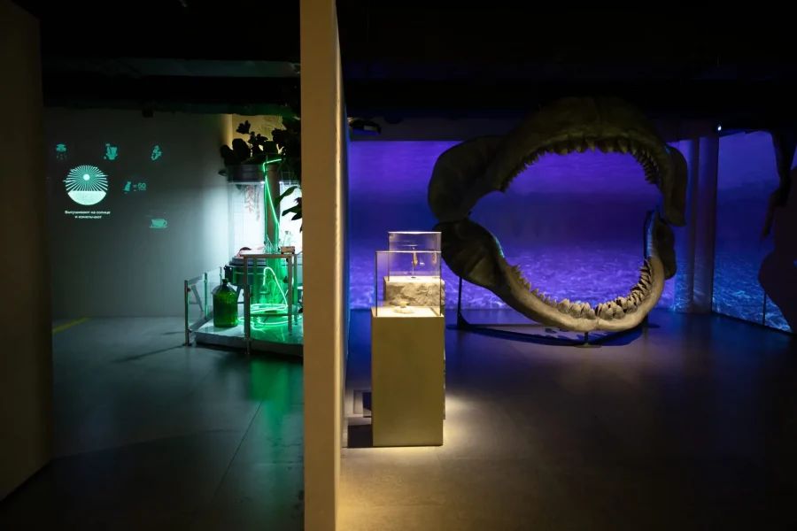 Яркие граффити, автомобиль Элвиса Пресли, гигантский макет Петербурга, столетний парфюм, специи и кофе со всего света, оригинальные вещицы для любовных утех — и это далеко не все интересности из этих необычных музеев. Большой список всех занимательных музеев и выставок Петербурга, которые понравятся как гостям, так и жителям города.