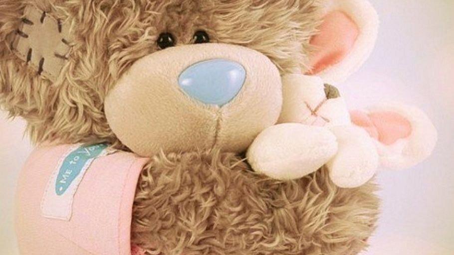 u0412u044bu0441u0442u0430u0432u043au0430 u0438u0433u0440u0443u0448u0435u0447u043du044bu0445 u043cu0438u0448u0435u043a u00abu0422u0435u0434u0434u0438u041cu0438u0440u00bb