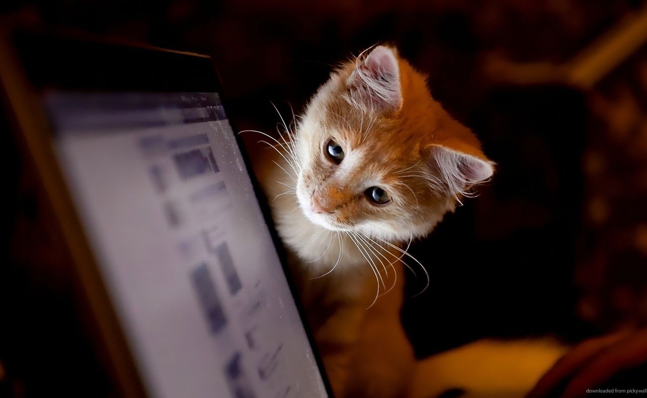 u041du0435u043du0443u0436u043du044bu0439 u043du043eu0443u0442u0431u0443u043a u043cu043eu0436u043du043e u0431u0443u0434u0435u0442 u043fu043eu0434u0430u0440u0438u0442u044c u043du0443u0436u0434u0430u044eu0449u0435u043cu0443u0441u044f u0440u0435u0431u0435u043du043au0443