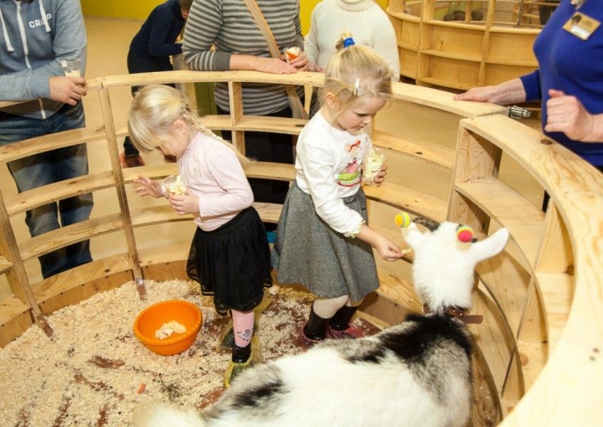 lesnoe posolstvo zoopark 0 5e3db