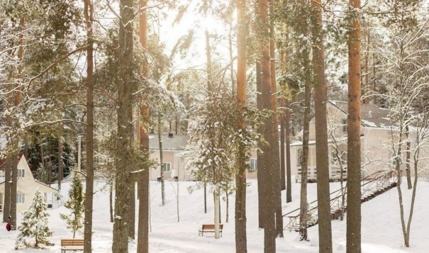 Центральное здание базы отдыха Аврора в окружении леса