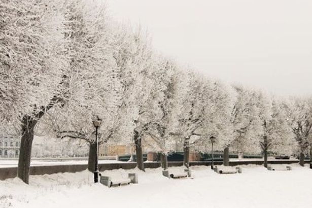 u0412 u041fu0435u0442u0435u0440u0431u0443u0440u0433u0435 u043du0430u0447u0438u043du0430u0435u0442u0441u044f u043fu043eu0445u043eu043bu043eu0434u0430u043du0438u0435