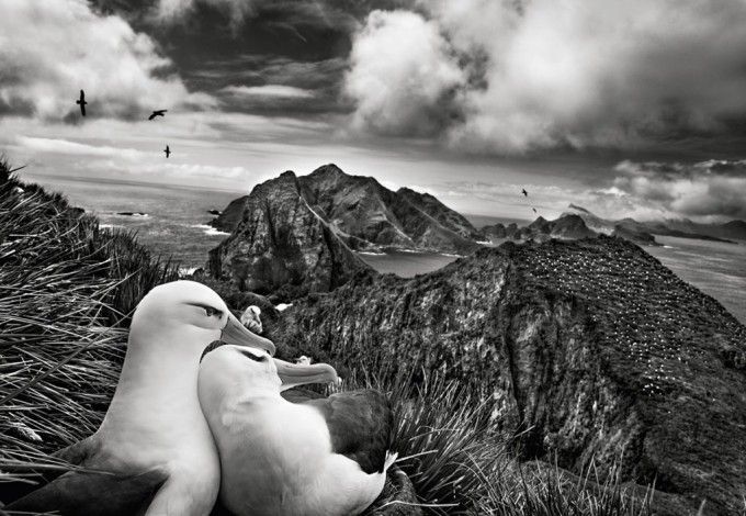 15august-salgado3 bf90c