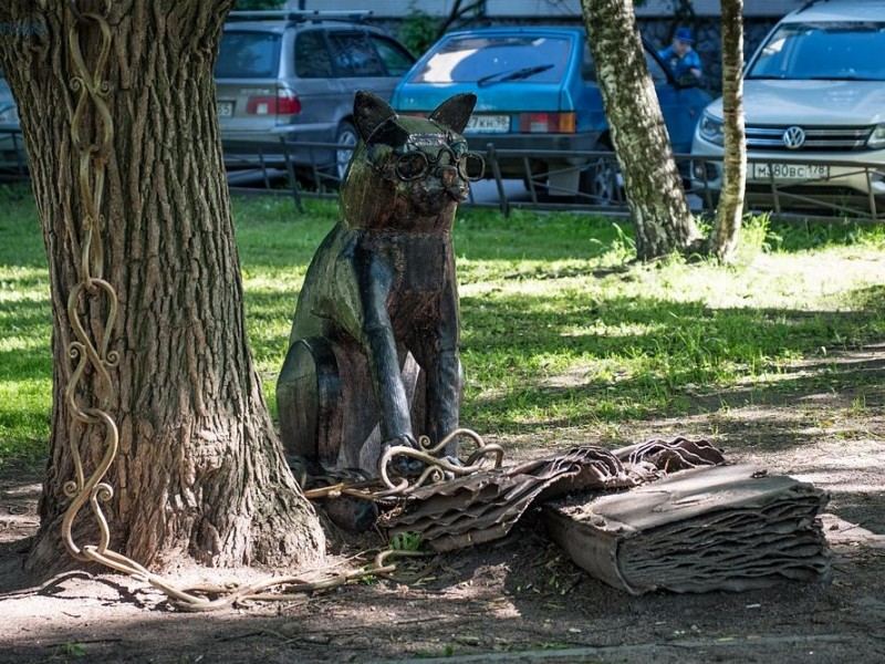 Ученый кот на Испытателей