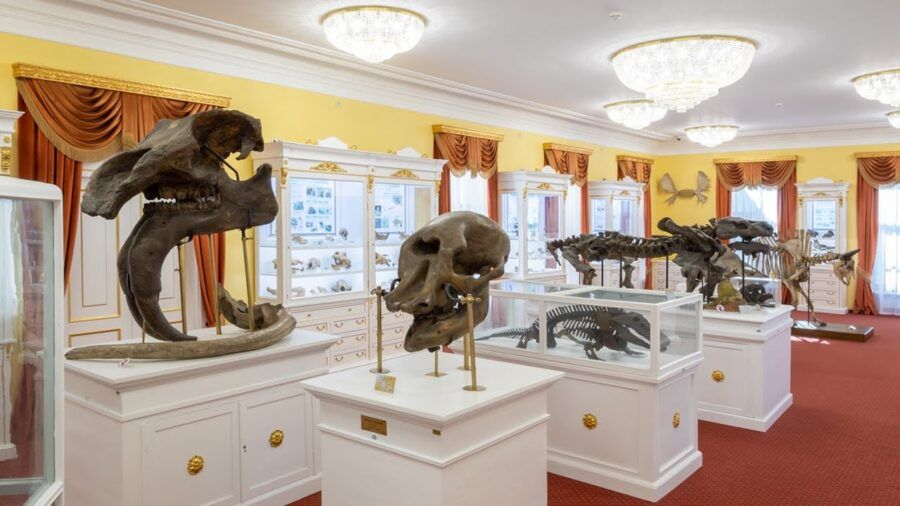 Познакомиться с легендами петербургской подземки, увидеть кирпич с развалин храма Аполлона Дельфийского, приобщиться к современным технологиям, посмотреть на зубров и покормить страусов, а также много другое. Питер Online собрал всю информацию, когда в музеи Петербурга можно ходить бесплатно: