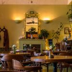 Вегетарианский ресторан Ботаника в Санкт-Петербурге — аюрведа и дзен